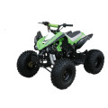 Elektrische Kinder 110cc Mini ATV für Kind (MDL GA004-3)